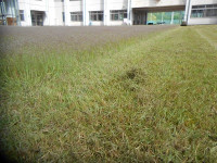 DSCN0400