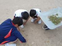 DSCN0166