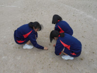 DSCN0168