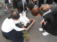 DSCN0176