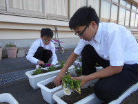 DSCN0204