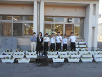 DSCN0206
