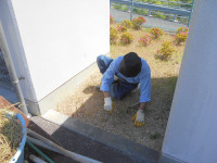 DSCN0233