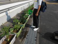 DSCN0406