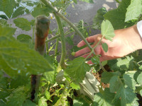 DSCN0407