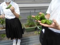 DSCN0656