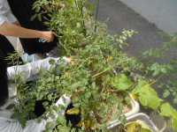 DSCN0657