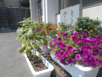DSCN0899