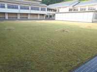DSCN1991