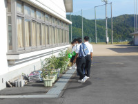 DSCN0794