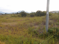 DSCN1072