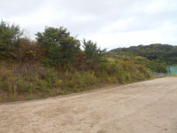 DSCN1071