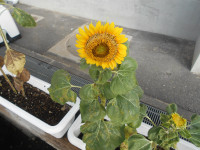 DSCN1329