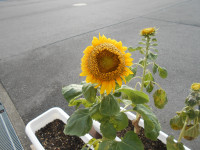 DSCN1328